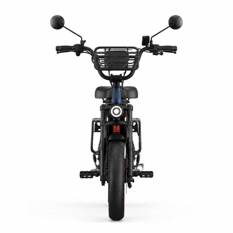 P3 Long-Range Electric Bicycle – 1000W Motor, 60V 20Ah LiFePO₄ Battery