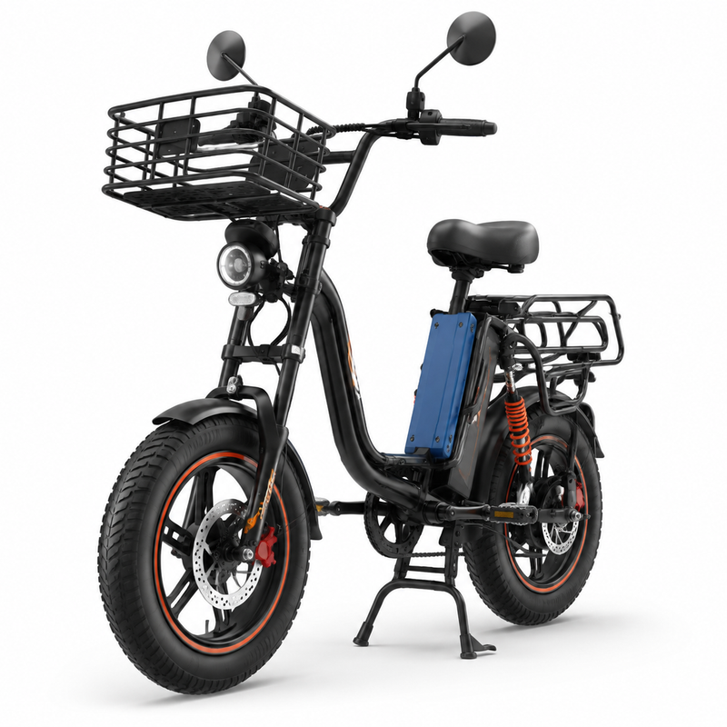 P3 Long-Range Electric Bicycle – 1000W Motor, 60V 20Ah LiFePO₄ Battery