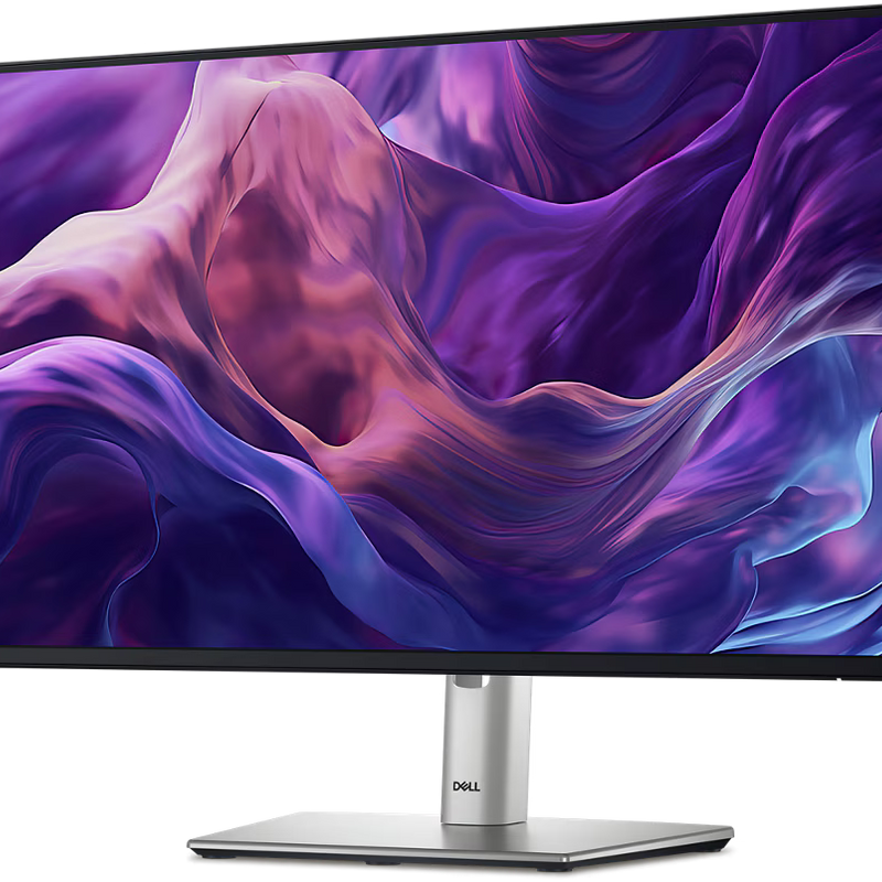 DELL P2425H 23.8IN FHD MONITOR