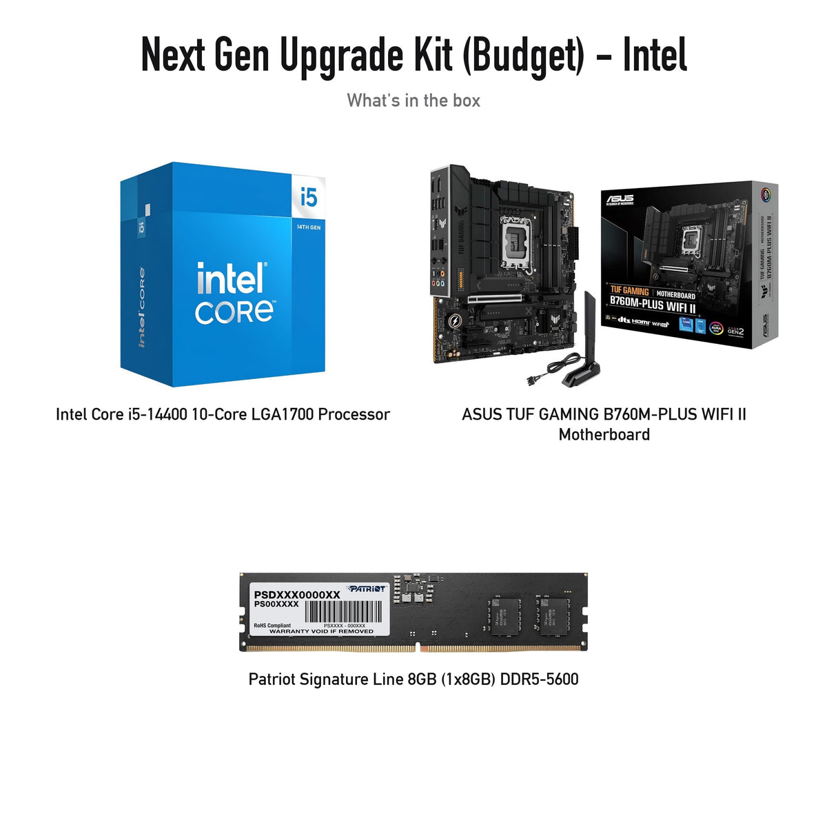 Next Gen Upgrade Kit (Budget) Intel: Core i5-14400, ASUS TUF GAMING B760M-PLUS WIFI II, Patriot Signature 8GB DDR5-5600 (kit contents; supplier product photos)
